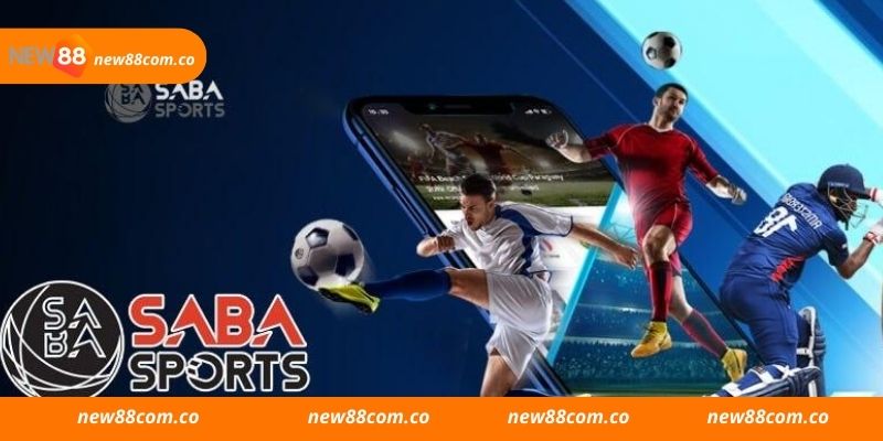 Giới thiệu sơ lược về Saba Sports ở New88 online